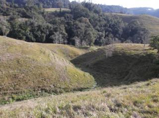 Jaraguá do Sul: Vende-se fazenda em Witmarsum 29