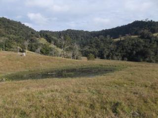 Jaraguá do Sul: Vende-se fazenda em Witmarsum 30