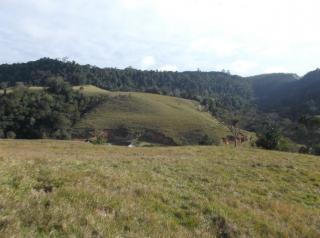 Jaraguá do Sul: Vende-se fazenda em Witmarsum 32