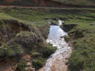 Jaraguá do Sul: Vende-se fazenda em Witmarsum 8