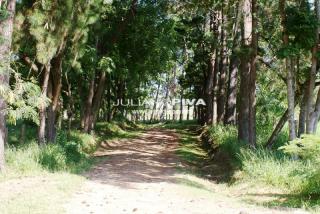 Porto Feliz: Belo S&iacute;tio em Itu/SP, 7 Alqueires com represa na divisa 11