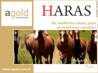 Porto Feliz: Haras &aacute; venda no litoral, alto padr&atilde;o. 14