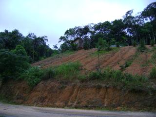 Jaraguá do Sul: Vende-se sitio c/ 22.100m² entre Guaramirim e Massaranduba 4