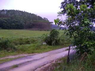 Jaraguá do Sul: Vende-se sitio c/ 22.100m² entre Guaramirim e Massaranduba 8