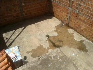 S&atilde;o Carlos: Casa c/ 2 dorm. - Jd Tangar&aacute; - S Carlos (3398) 5