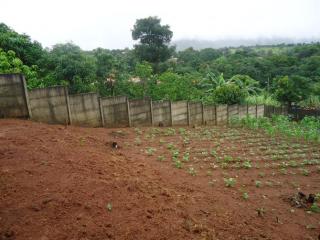 Betim: Lote 360m&sup2; -Juatuba 5