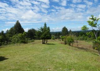 Curitiba: Ch&aacute;cara em Mandirituba - Agudos - 20500 m2 no Asfalto - 2 entradas - esquina 7