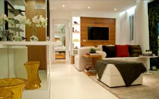 S&atilde;o Paulo: APARTAMENTO NA VILA SONIA 11