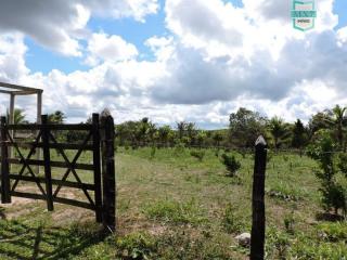 Cama&ccedil;ari: S&iacute;tio, tipo fazenda proximo a estrada do coco 20