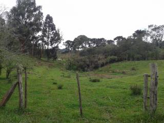 Florian&oacute;polis: FAZENDA EM BOM RETIRO - S.C. 14