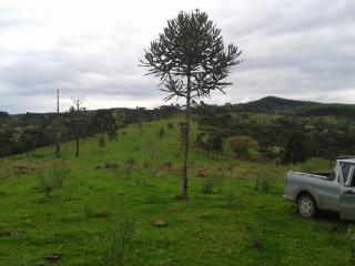 Florian&oacute;polis: FAZENDA EM BOM RETIRO - S.C. 7