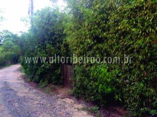 Florian&oacute;polis: Casa perto da praia do Campeche com lote 900m&sup2; 6