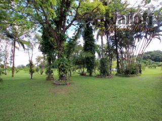 S&atilde;o Paulo: Maravilhosa propriedade em local nobre de Itu/SP com 48.000 m&sup2;.  Confira!!! 38