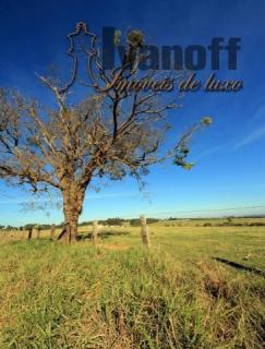 S&atilde;o Paulo: Linda fazenda com 37 alqueires de terra vermelha, pecu&aacute;ria ou agr&iacute;cola. Confira! 27