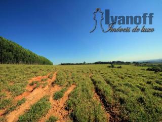 S&atilde;o Paulo: Linda fazenda com 37 alqueires de terra vermelha, pecu&aacute;ria ou agr&iacute;cola. Confira! 46