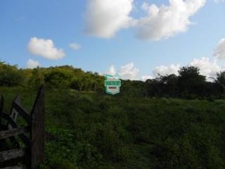 Camaçari: terreno em parafuso 2