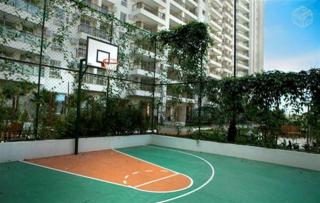 Rio de Janeiro: Cobts. Reserva do Parque Cidade Jardim 20