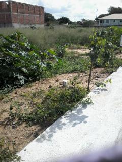 Araruama: Terreno na Pontinha, 359 m2 em condomínio 5