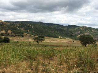 S&atilde;o Paulo: Fazenda com &aacute;rea total de 774,5 ha Pedra Azul - Minas Gerais 17