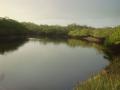 Jaguaripe: Bela fazenda para quem deseja  ar puro  e contato com a natureza