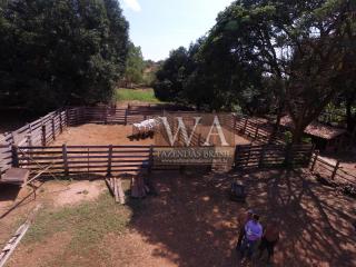 Paraíso do Tocantins: Fazenda com preço de oportunidade 4