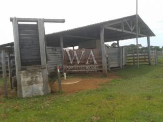 Paraíso do Tocantins: Fazenda com grande potencial para agricultura 1