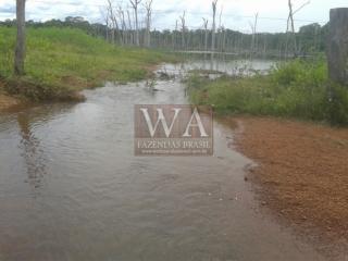 Para&iacute;so do Tocantins: Fazenda com grande potencial para agricultura 2