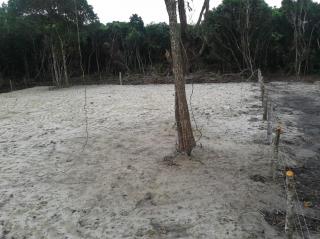 Joinville: 2 Terrenos Juntos - 500 m do mar- Investimento 4