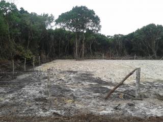 Joinville: 2 Terrenos Juntos - 500 m do mar- Investimento 6