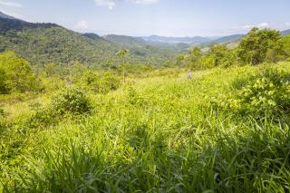 São Paulo: Terrenos Panoramicos em Paraty com 20.000 m² 6