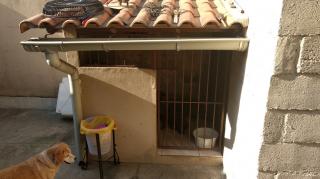 Niter&oacute;i: Casa duplex 4 quartos 2 vagas Alcantara SG ama1165 17