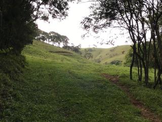 São Paulo: Excelente fazenda orgânica em cenário de montanha 12