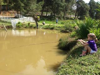 São Paulo: Excelente fazenda orgânica em cenário de montanha 19