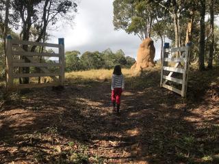 São Paulo: Excelente fazenda orgânica em cenário de montanha 20