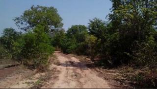 S&atilde;o Paulo: Fazenda com 3138 alqueires em Novo Acordo, Tocantins 2