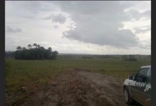 S&atilde;o Paulo: Fazenda com 3138 alqueires em Novo Acordo, Tocantins 6
