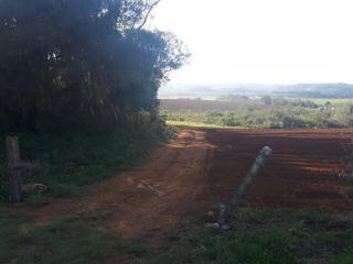 Curitiba: Terreno Lote - Balsa Nova/PR 6