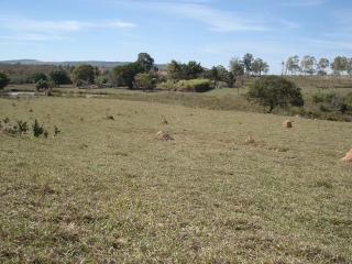Betim: fazenda com 373 hectares; aceito permuta em  50% 9