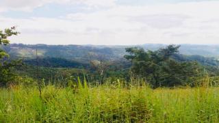 Sorocaba: TERRENOS/LOTES MAIRINQUE - SP 1