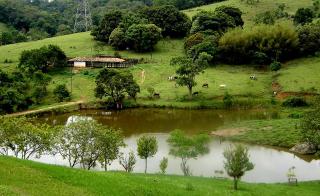 São Paulo: FAZENDA NA CASTELO, 1.150.000 M2. 3