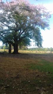 Itumbiara: VENDO CHACAR&Aacute; EM VICENTIN&Oacute;POLIS GOIAS 2