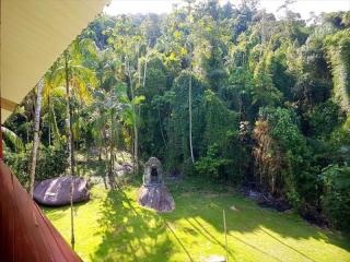 Itanha&eacute;m: Lindo sitio em Mongagu&aacute;, com amplo espa&ccedil;o, muito verde, ar puro e &aacute;gua boa !!! 8