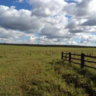 Campo Grande: FAZENDA A VENDA CAMPO GRANDE/MS 9