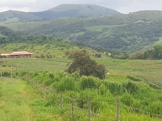 Baependi: Sitio para plantio ou criação de gado em Baependi-MG 11