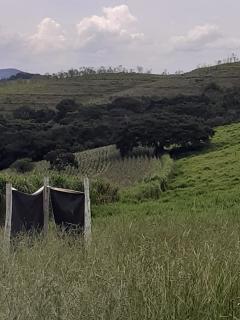 Baependi: Sitio para plantio ou criação de gado em Baependi-MG 14
