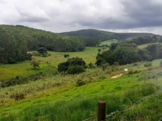 Baependi: Sitio para plantio ou criação de gado em Baependi-MG 7