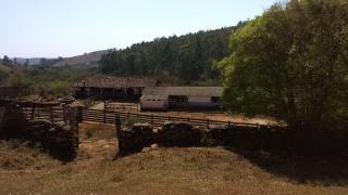 Baependi: Fazenda ótima de 35 Hectares em Aiuruoca-MG 12