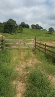 Baependi: Ch&aacute;cara Pr&oacute;xima a BR 267 Aiuruoca-MG 1