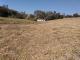 Sitio de 10 Hectares com uma casa antiga