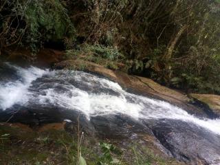 Baependi: Sitio em Baependi/MG de 52 Hectares 18